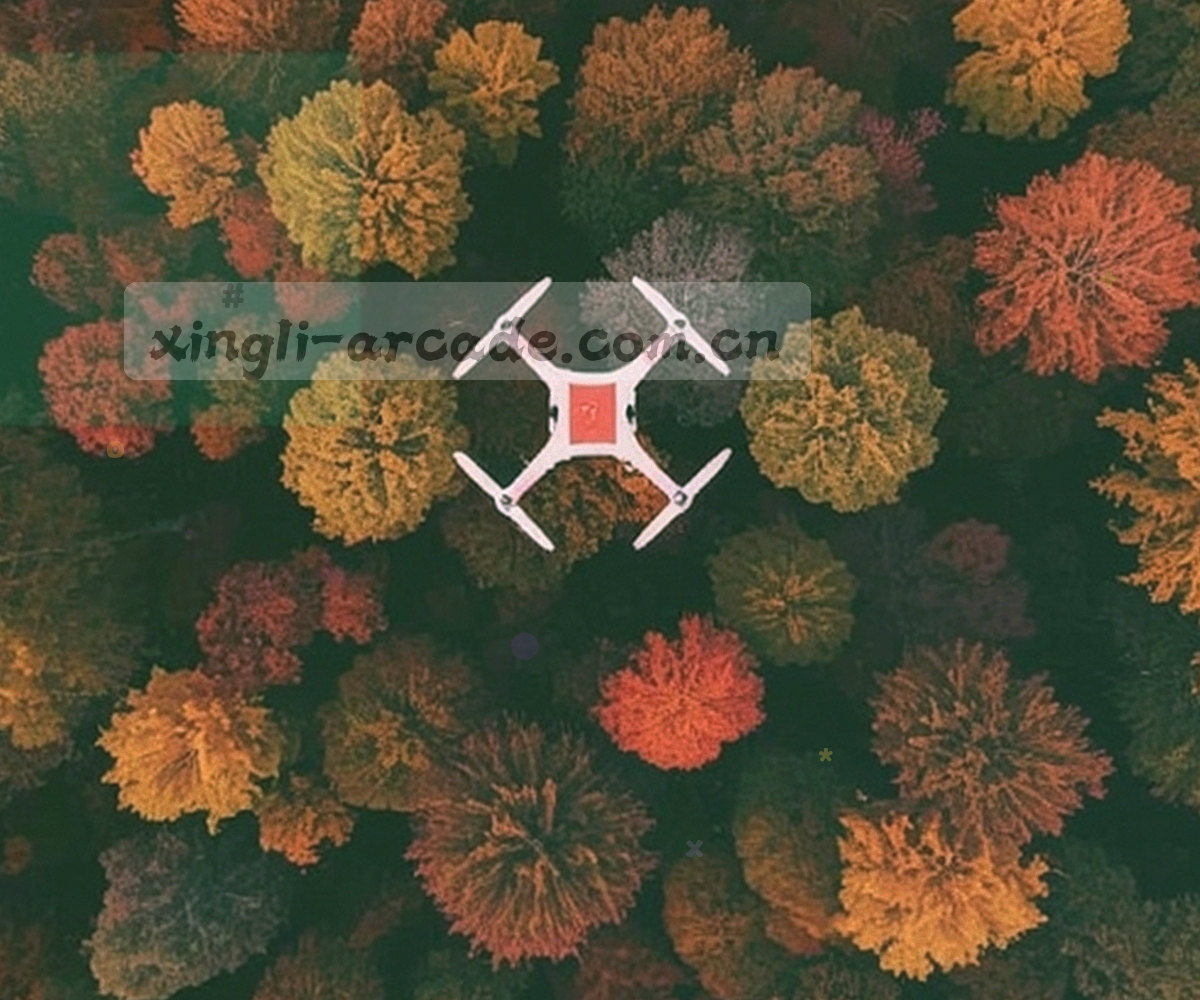 信息图形式呈现的常见牌型对照，用色块与线条标注牌型结构与区分要点